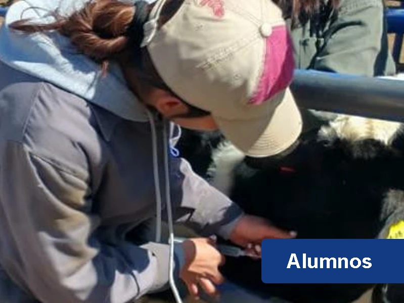 alumnos alumnos